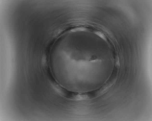 X0000115330270200911091251