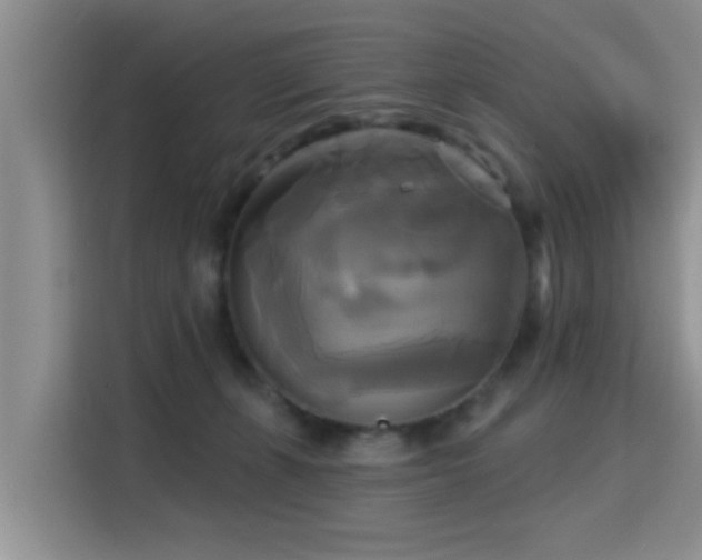 X0000115330271200911091251