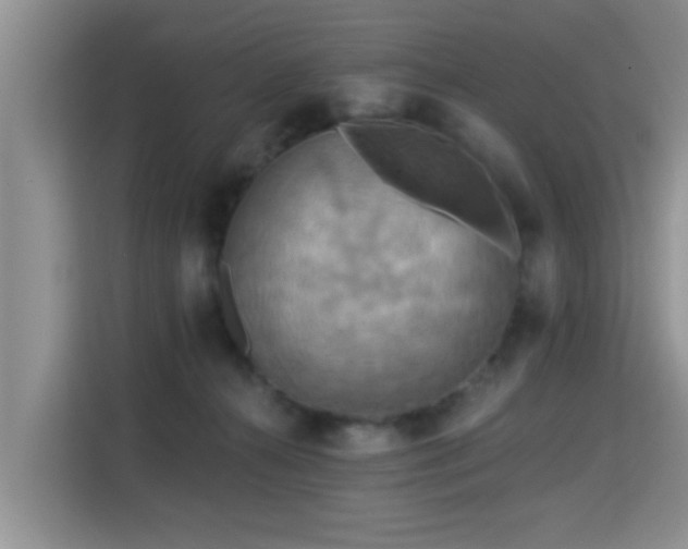 X0000115330272200911091251