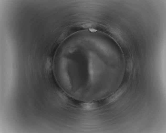 X0000115330273200911091251