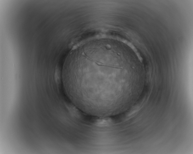 X0000115330274200911091251