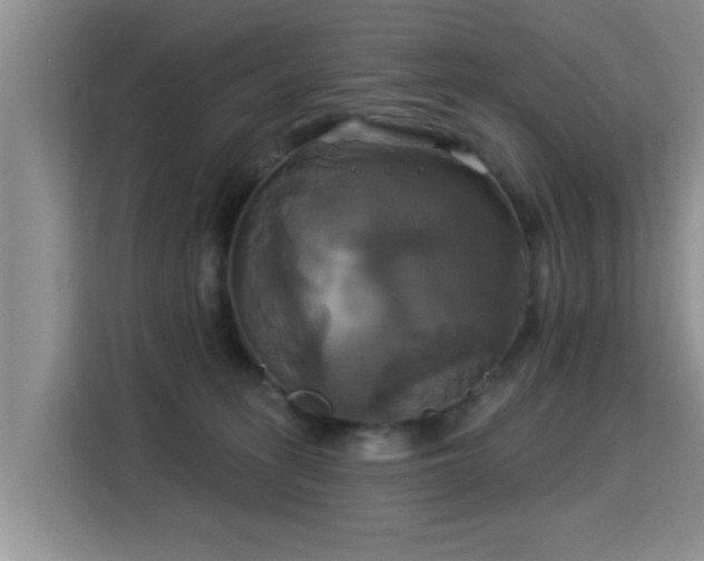 X0000115330275200911091251