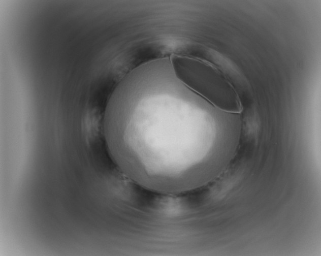 X0000115330276200911091251
