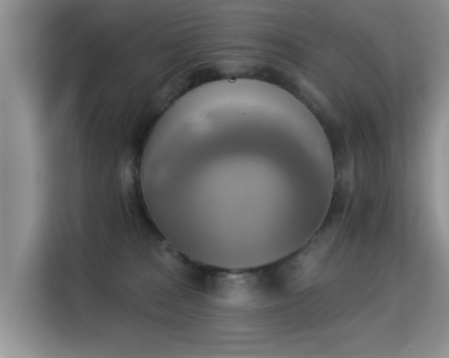 X0000115330277200911091251