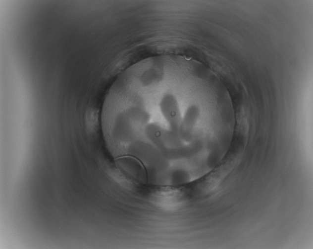 X0000115330278200911091251
