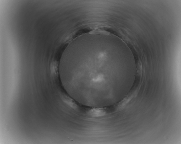 X0000115330280200911091251