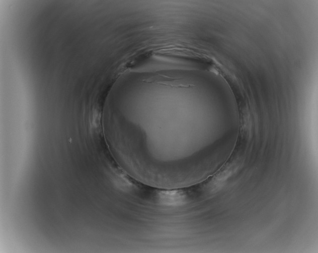 X0000115330281200911091251