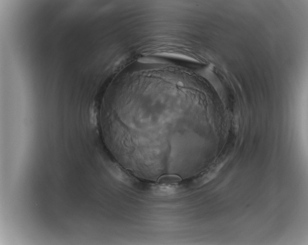 X0000115330282200911091251