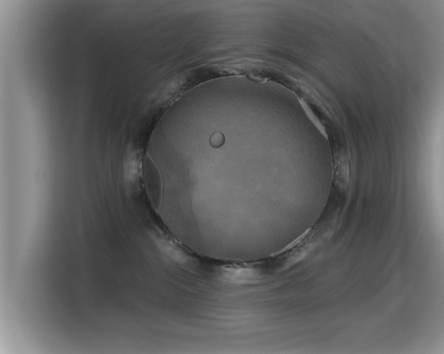 X0000115330284200911091251