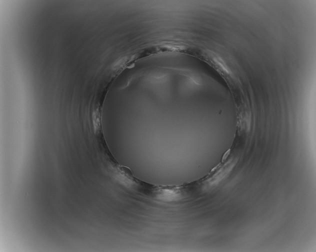 X0000115330285200911091251
