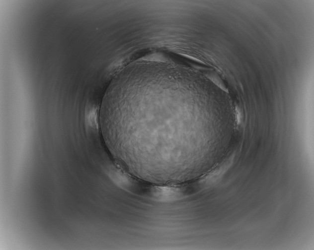 X0000115330286200911091251