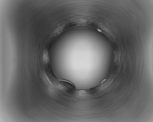 X0000115330287200911091251
