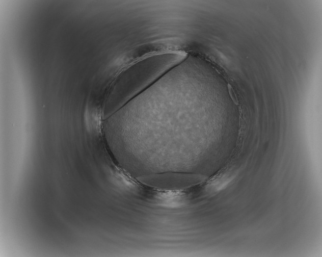 X0000115330288200911091251