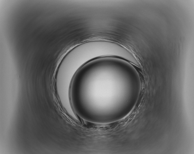 X0000115330289200911091251