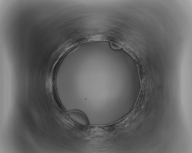 X0000115330290200911091251