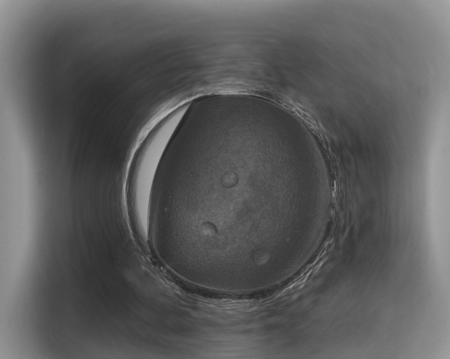 X0000115330292200911091250
