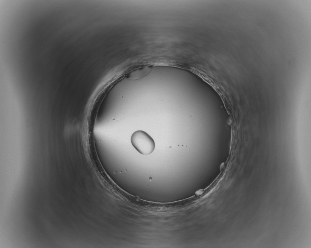X0000115330293200911091250