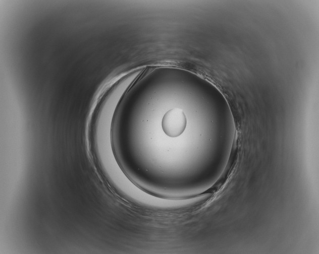 X0000115330294200911091250