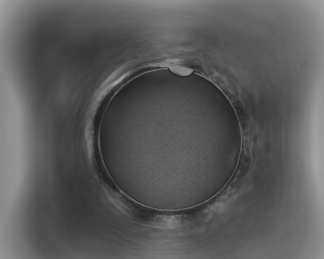 X0000115330295200911091250