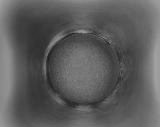 X0000115330296200911091250