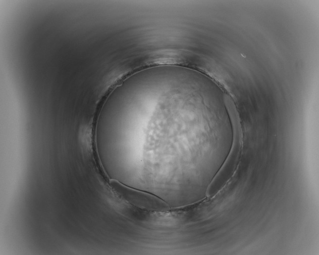 X0000115330297200911091250