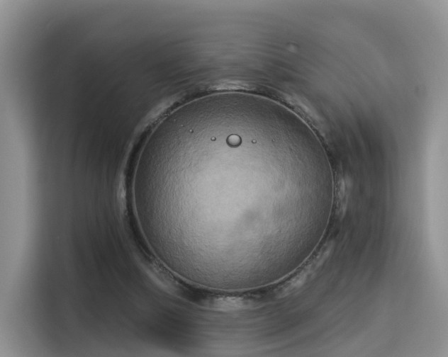 X0000115330298200911091250