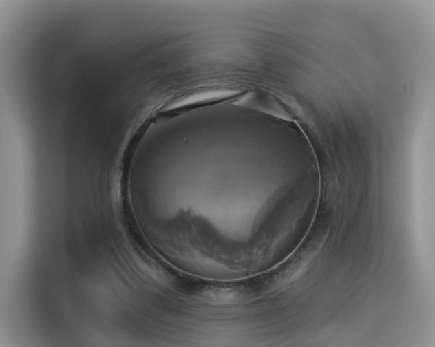 X0000115330299200911091250