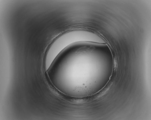 X0000115330301200911091250