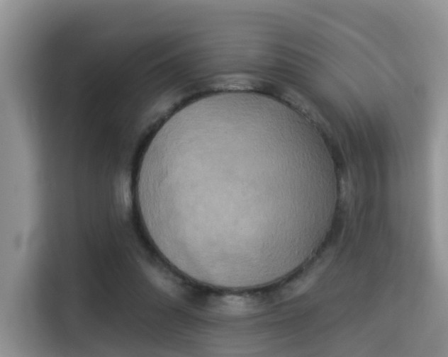 X0000115330302200911091250