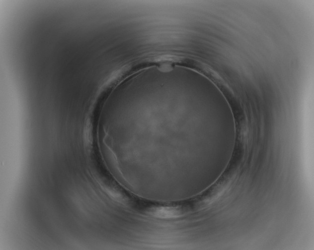 X0000115330303200911091250