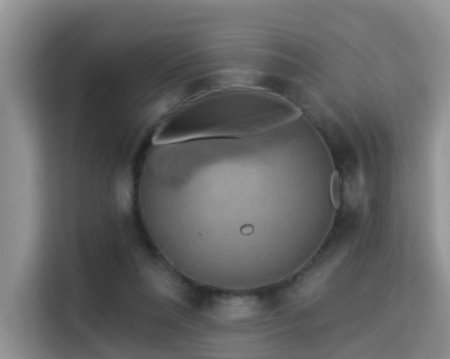 X0000115330304200911091250
