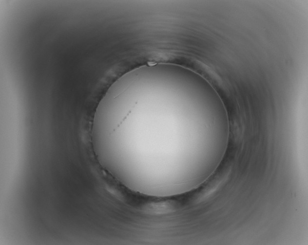X0000115330307200911091250
