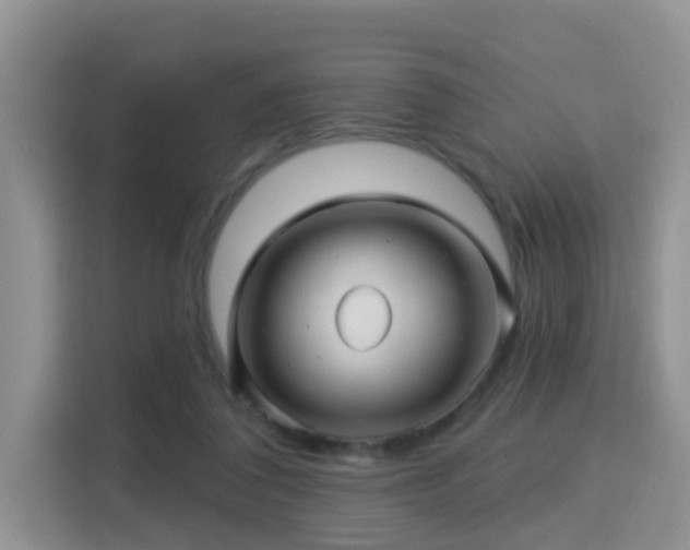 X0000115330308200911091250