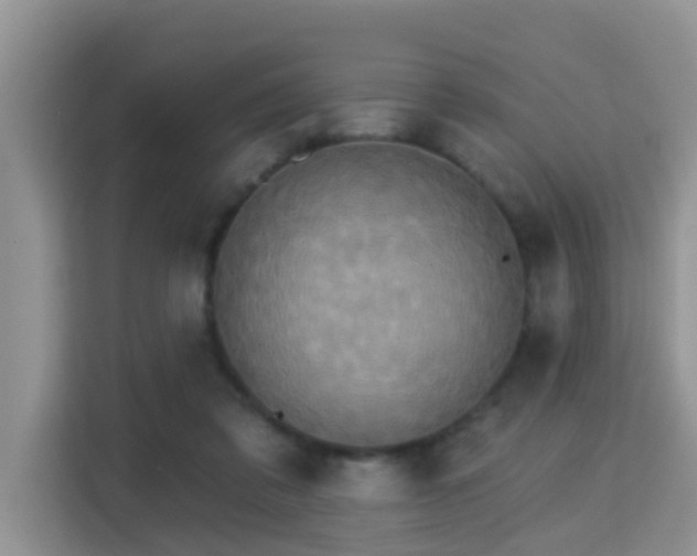X0000115330309200911091250