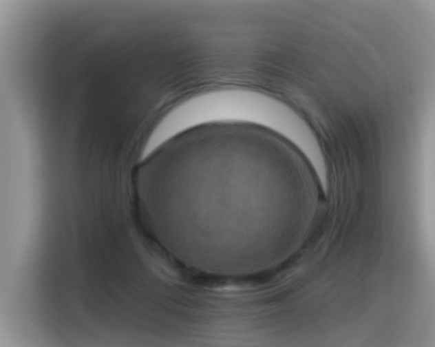 X0000115330312200911091250