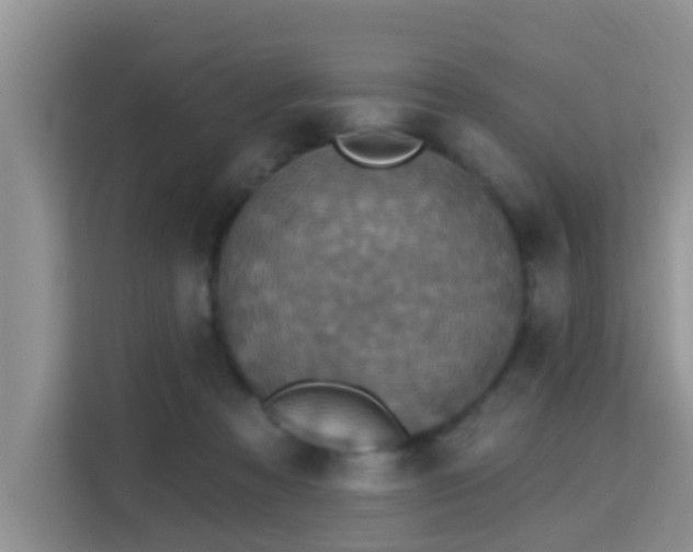 X0000115330313200911091250
