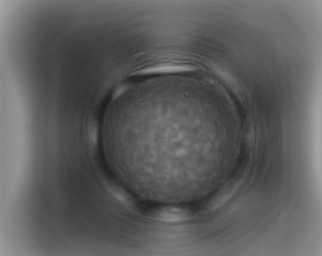 X0000115330315200911091250