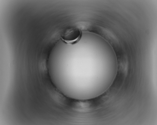 X0000115330317200911091250