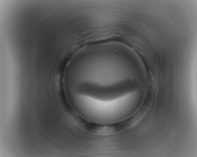 X0000115330319200911091250