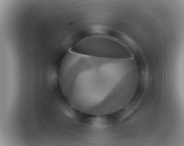X0000115330320200911091250