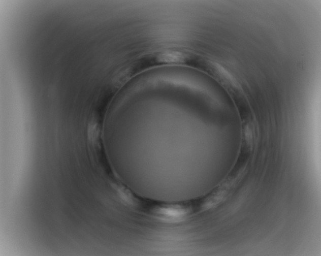 X0000115330322200911091250