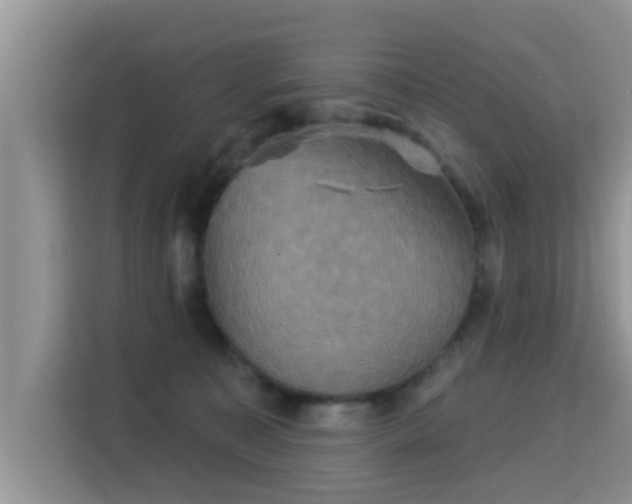 X0000115330323200911091250