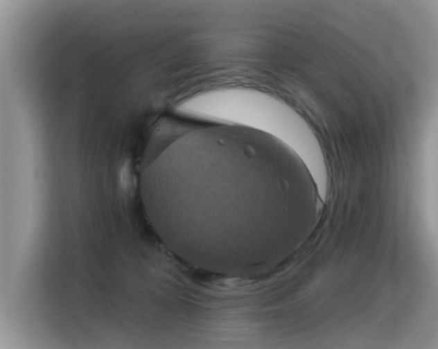 X0000115330324200911091250