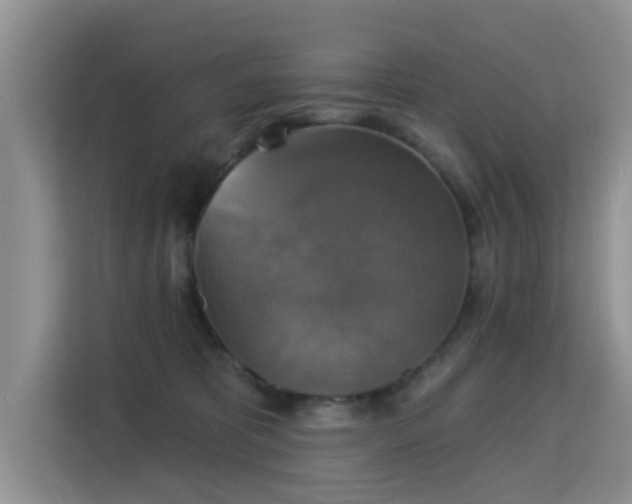 X0000115330325200911091250