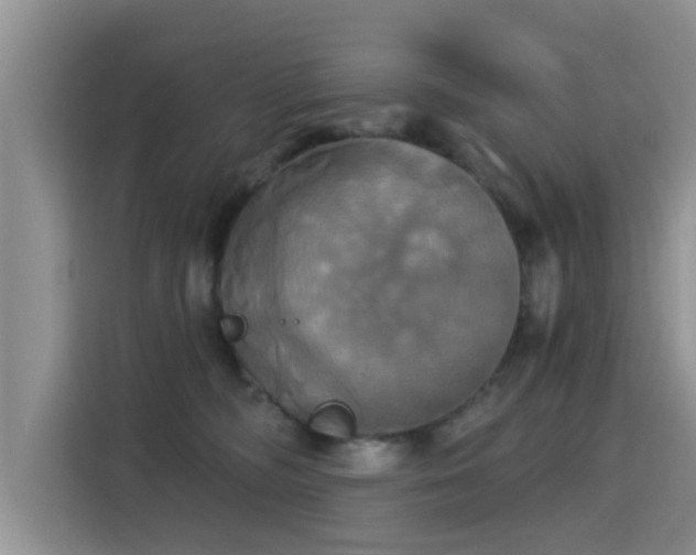 X0000115330326200911091250