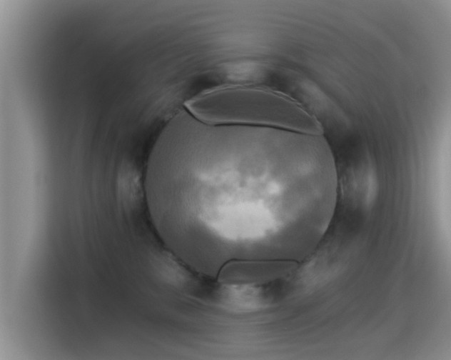 X0000115330327200911091250