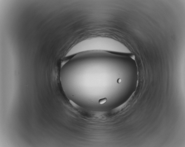 X0000115330328200911091250
