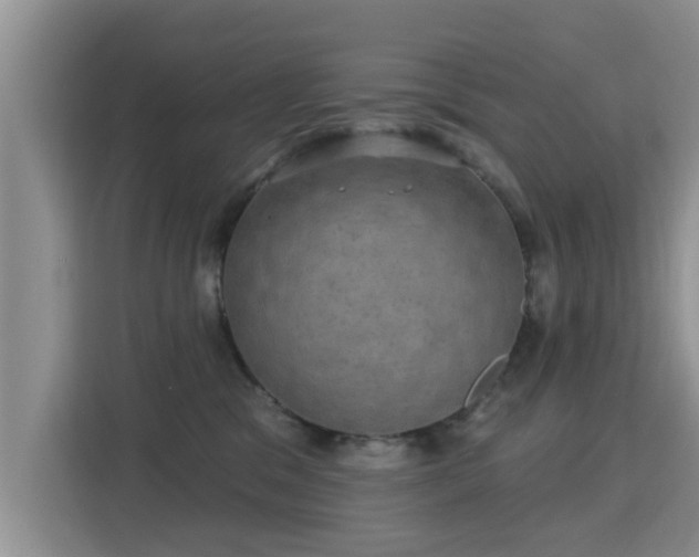 X0000115330329200911091250
