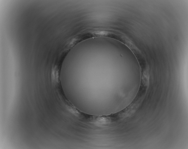 X0000115330330200911091250