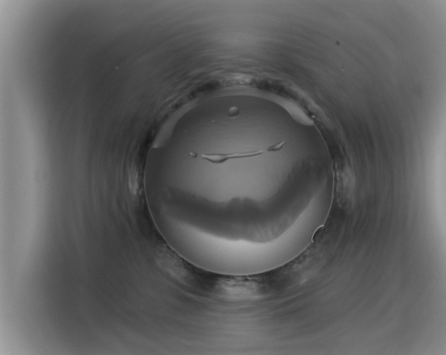 X0000115330331200911091250